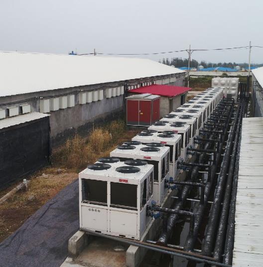 �H���T�ǵ������I(y��)�B(y��ng)ֳ����