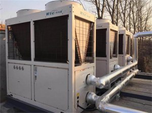 ��(j��)��ɽʢ���ܷNֲ�����ů